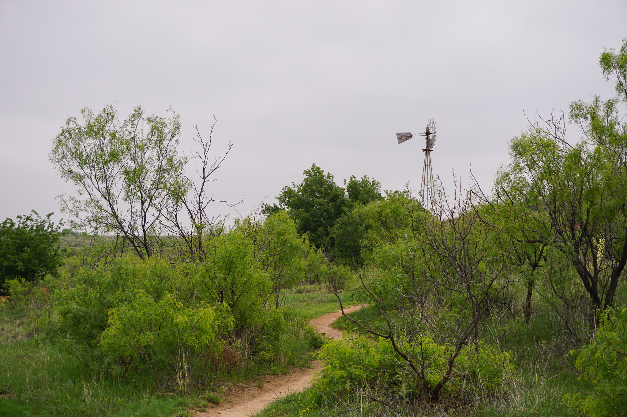 View of Wildcat Bluffs Windmill trail
