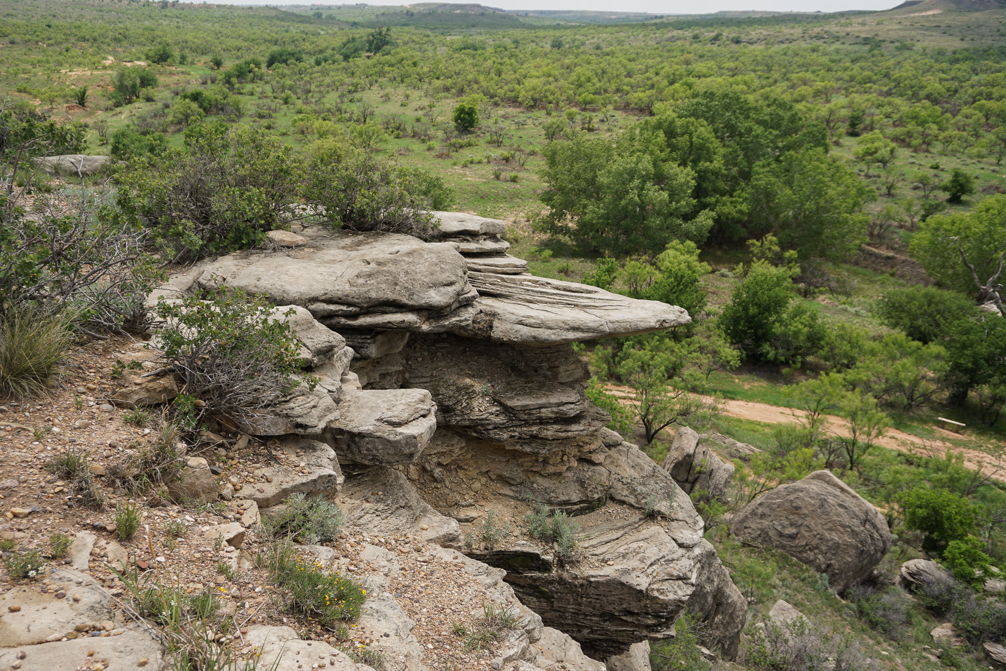 Rocky Cliff face of The Upper Bluff Trail