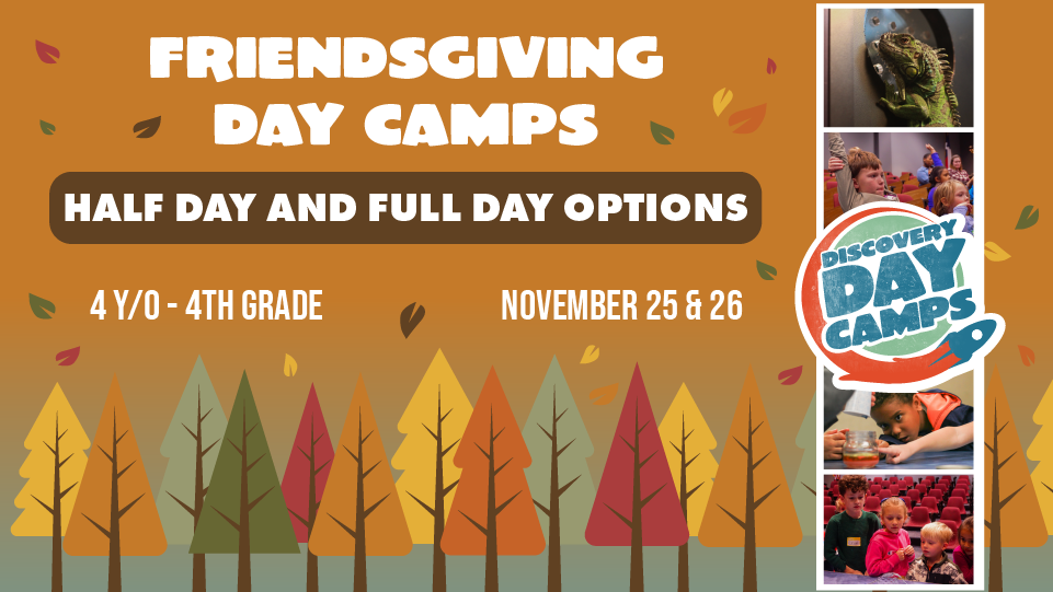 Friendsgiving Day Camps at DHDC