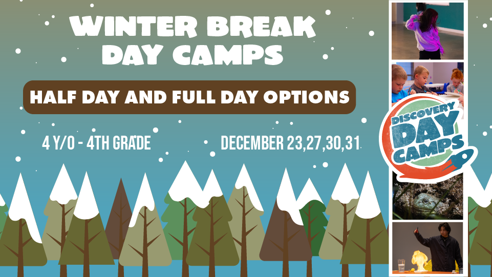 Winter Break Day Camps