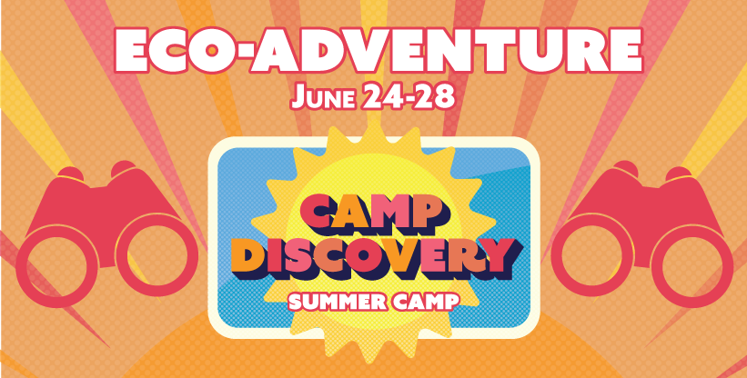 Eco-Adventure - Summer Camp Discovery