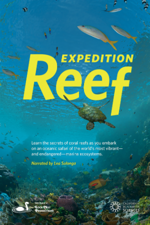 Expedition Reef Movie Poster