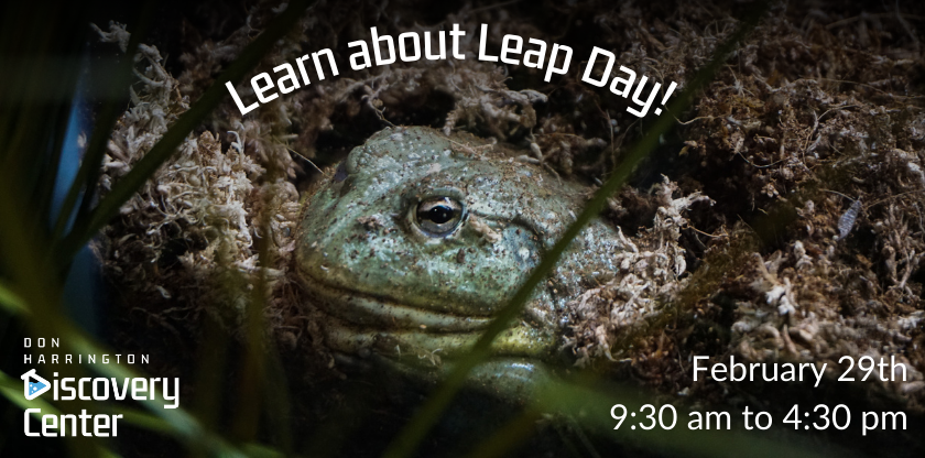 Learn about Leap Day!