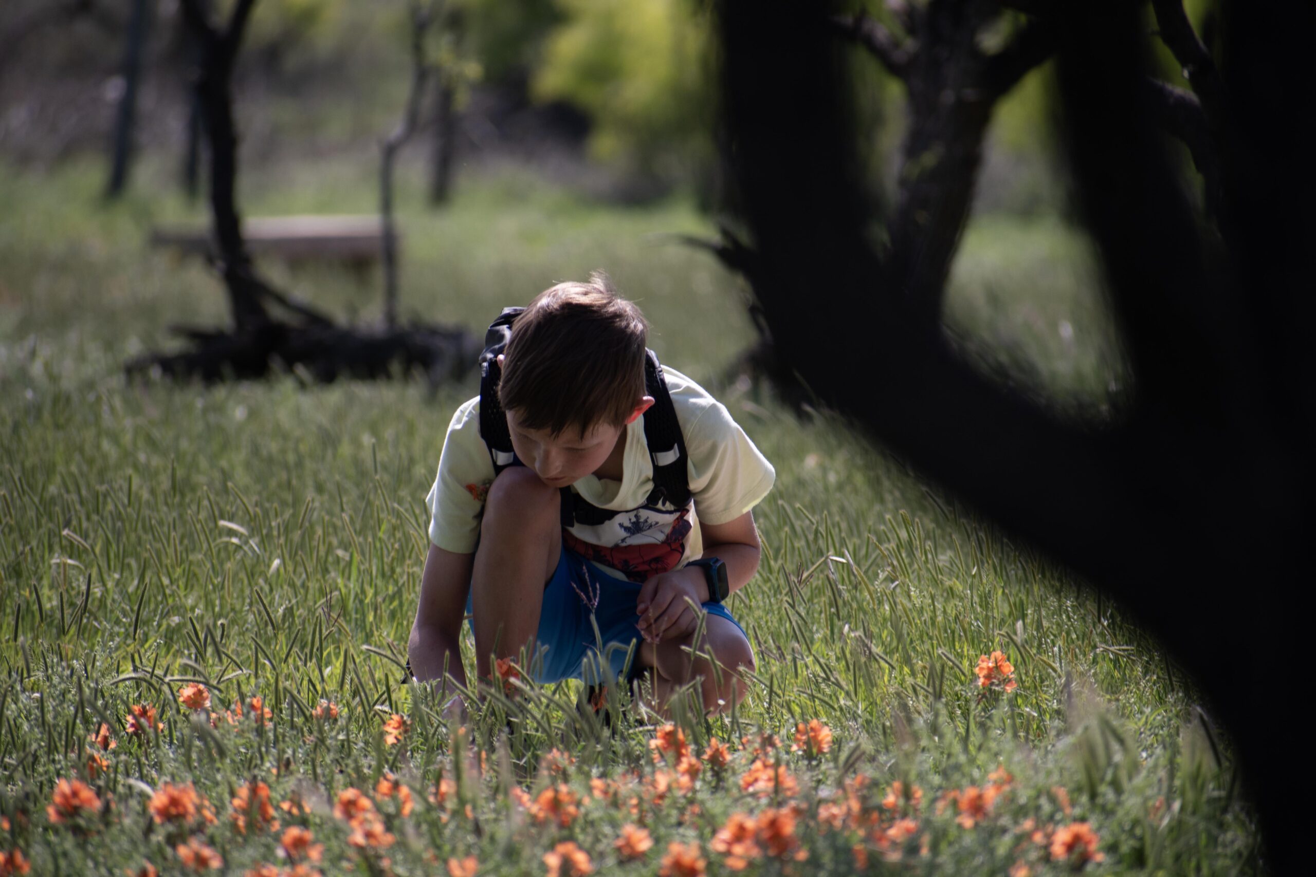 Young boy searching through a field of wildflowers Outdoor science and nature camp at Wildcat Bluff