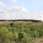 Carols loop trail at Wildcat Bluff Nature Center, Amarillo, Texas