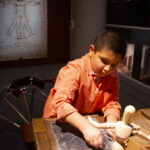 Leonardo's Lab traveling exhibit at Amarillo's Don Harrington Discovery Center