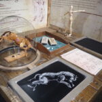 Leonardo's Lab traveling exhibit at Amarillo's Don Harrington Discovery Center