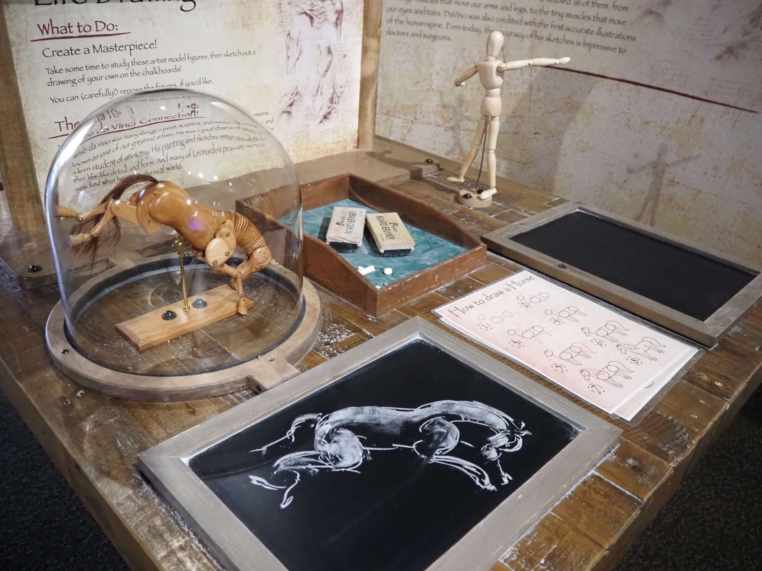 Leonardo's Lab traveling exhibit at Amarillo's Don Harrington Discovery Center