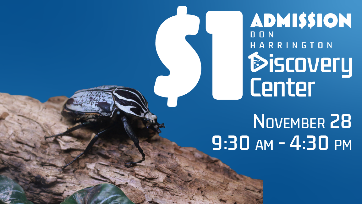 Discover for a Dollar