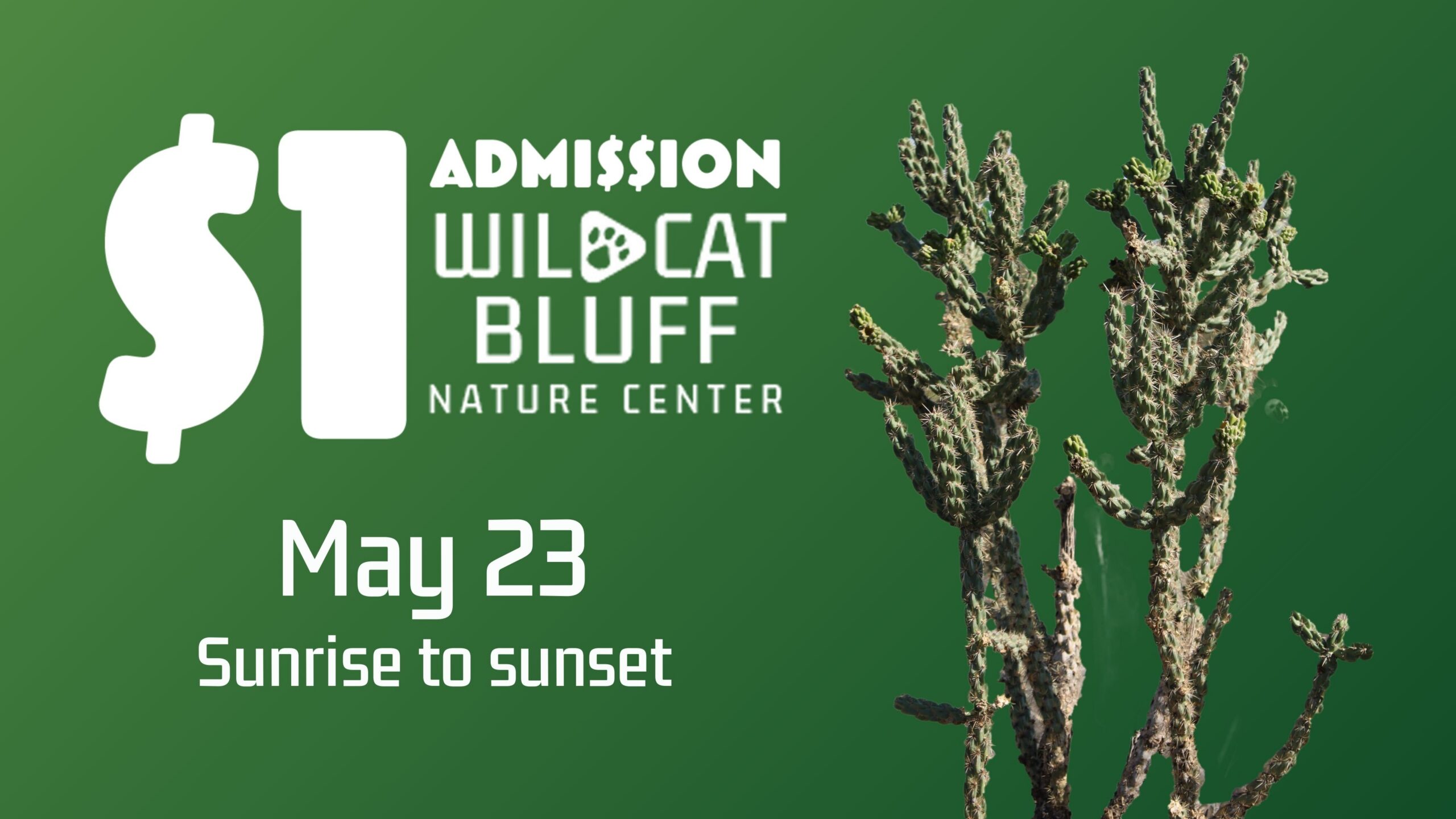 Discover for a Dollar at WBNC